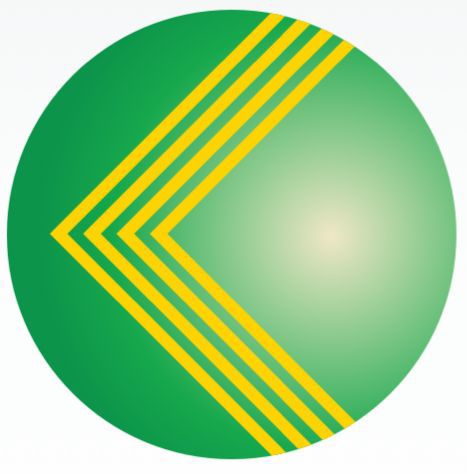 Icon 1
